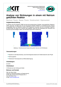 Analyse von Strömungen in einem mit Natrium - am IFRT