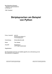 Praxisarbeit über Python