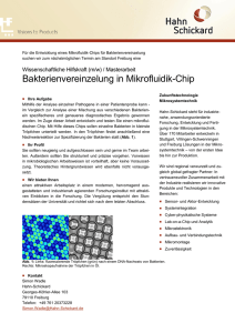 Bakterienvereinzelung in Mikrofluidik-Chip