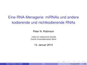 Eine RNA-Menagerie - Charité