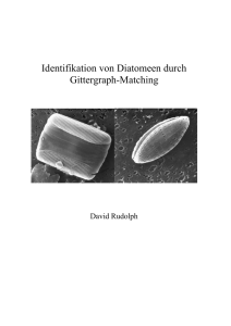 Identifikation von Diatomeen durch Gittergraph