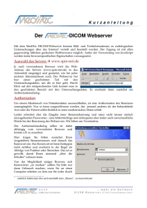 Kurzanleitung Der -DICOM Webserver - spin