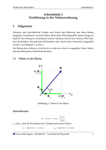 Arbeitsblatt 1 Einführung in die Vektorrechnung 1 Allgemein