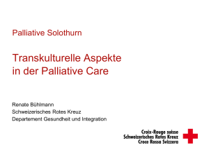 Palliative Solothurn Tk Kompetenz_Buehlmann_WS4