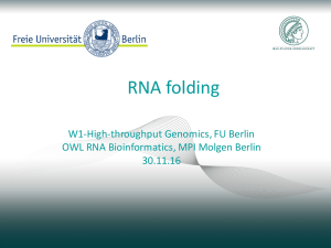 RNA Faltung