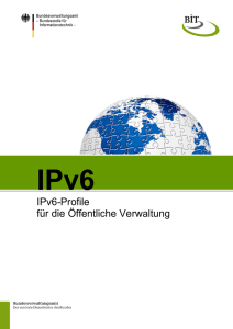 IPv6 Profile für die öffentliche Verwaltung
