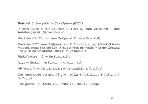 Beispiel 5 Europäische Call Option (ECO) in einer Aktie S mit