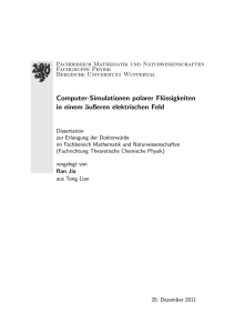 Computer-Simulationen polarer Flüssigkeiten in