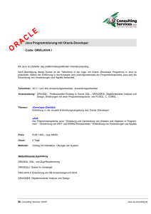 ORACLE - SK Consulting Services GmbH