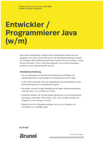 Entwickler / Programmierer Java (w/m)