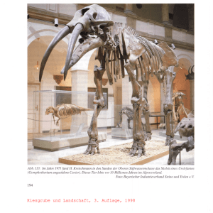 Kapitel 6 Paläontologische prähistorische historische Funde