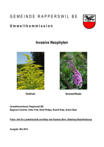 Invasive Neophyten
