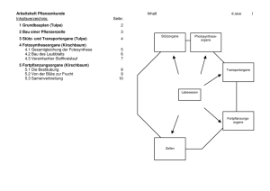 Arbeitsheft Pflanzenkunde Inhalt 1 Inhaltsverzeichnis: Seite: 1