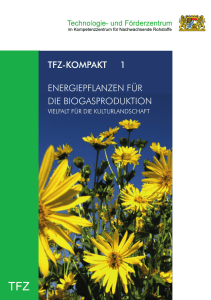 Energiepflanzen für die Biogasproduktion - TFZ Straubing