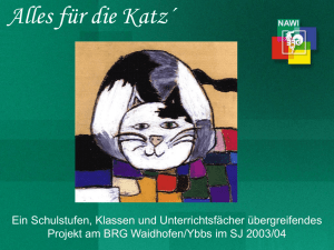 Alles f&uuml;r die Katz - BRG Waidhofen/Ybbs