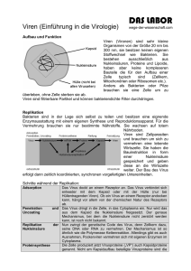 Viren (Einführung in die Virologie)