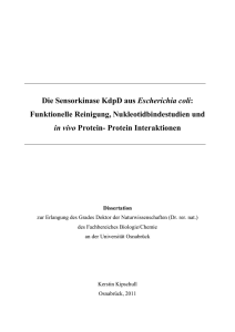 Die Sensorkinase KdpD aus Escherichia coli