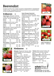 ORIGNALBOGEN BEEREN 2012 .cwk