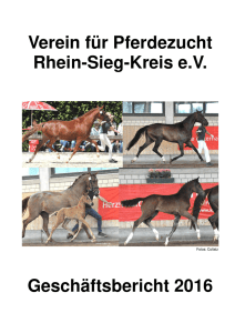 Verein für Pferdezucht Rhein-Sieg-Kreis e.V. Geschäftsbericht 2016