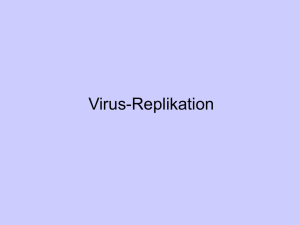 Virus-Replikation
