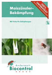 Maiszünsler - Andermatt Biocontrol AG