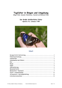 Aktualisiert*** Großer Schillerfalter (Apatura iris) PDF 5,6 MB