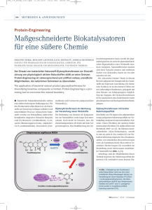 Maßgeschneiderte Biokatalysatoren für eine süßere Chemie