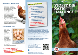 Stoppt die Käfighaltung von Hühnern