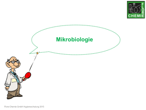 Was sind Mikroorganismen? - FLORE