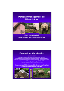 Parasitenmanagement bei Schaf und Ziege
