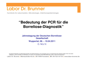 PCR - Deutsche Borreliose