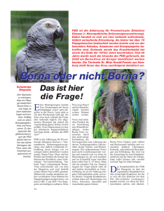 Borna oder nicht Borna? - Tierarztpraxis Bergedorf
