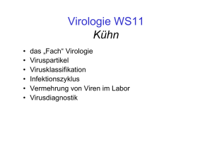 Virologie WS11 Kühn