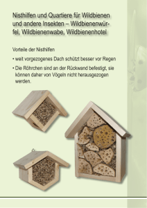 Infoblatt Wildbienennisthilfen