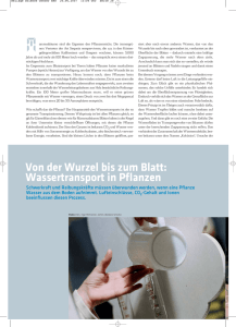 Beilage zur Wiener Zeitung über die Station Wassernetze