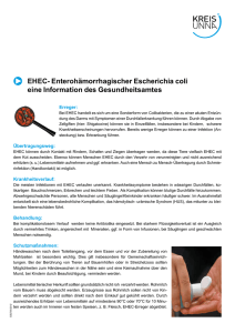 EHEC- Enterohämorrhagischer Escherichia coli eine Information