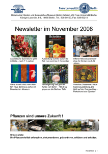 Newsletter im November 2008