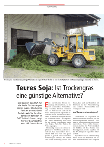 Teures Soja: Ist Trockengras eine günstige Alternative?