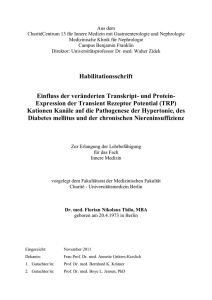 Habilitationsschrift_kumulativ_Thilo 20121120