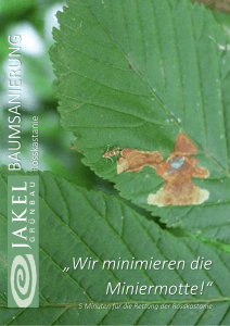 Folder Baumschutz - Miniermotte 2015