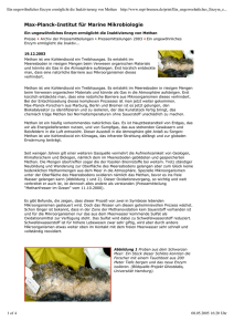 methanox2. - Max-Planck