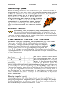 Schmetterlinge (Word)
