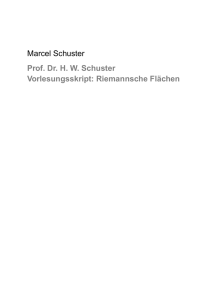 Prof. Dr. H. W. Schuster Vorlesungsskript: Riemannsche Flächen