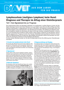 Lymphosarkom