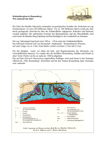 Kalisalzbergbau in Ronnenberg Wie entstand das Salz? Die Salze