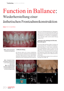 Artikel als PDF Datei