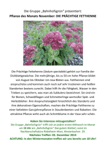 Die Gruppe „Bahnhofsgrün“ präsentiert: Pflanze des Monats