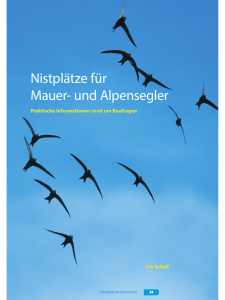 Nistplätze für Mauer- und Alpensegler