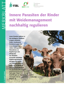 Innere Parasiten der Rinder mit Weidemanagement