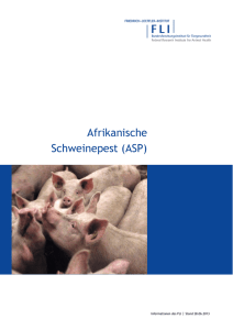 Afrikanische Schweinepest (ASP)